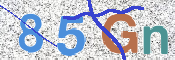 CAPTCHA Code: