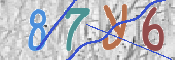 CAPTCHA Code: