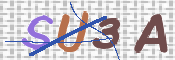 CAPTCHA Code: